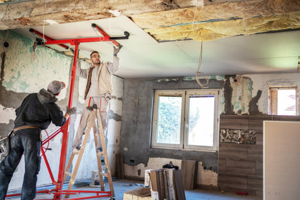 Best Cellulose Insulation in Haysville, KS
